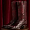 6825-josephine-black-cherry-9.webp Josephine :: Black Cherry