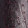 Elgin :: Black Cherry + Black