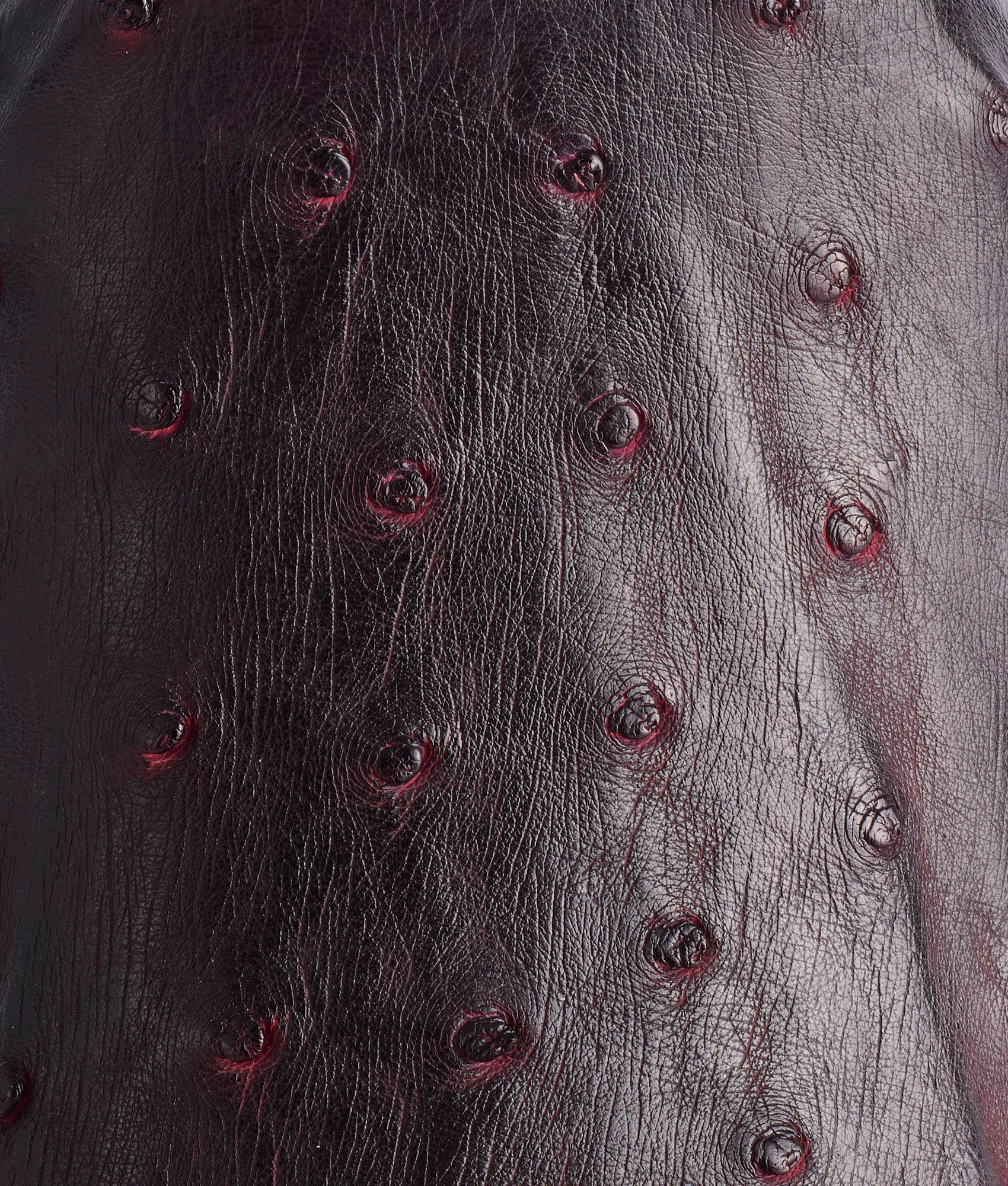 Elgin :: Black Cherry + Black