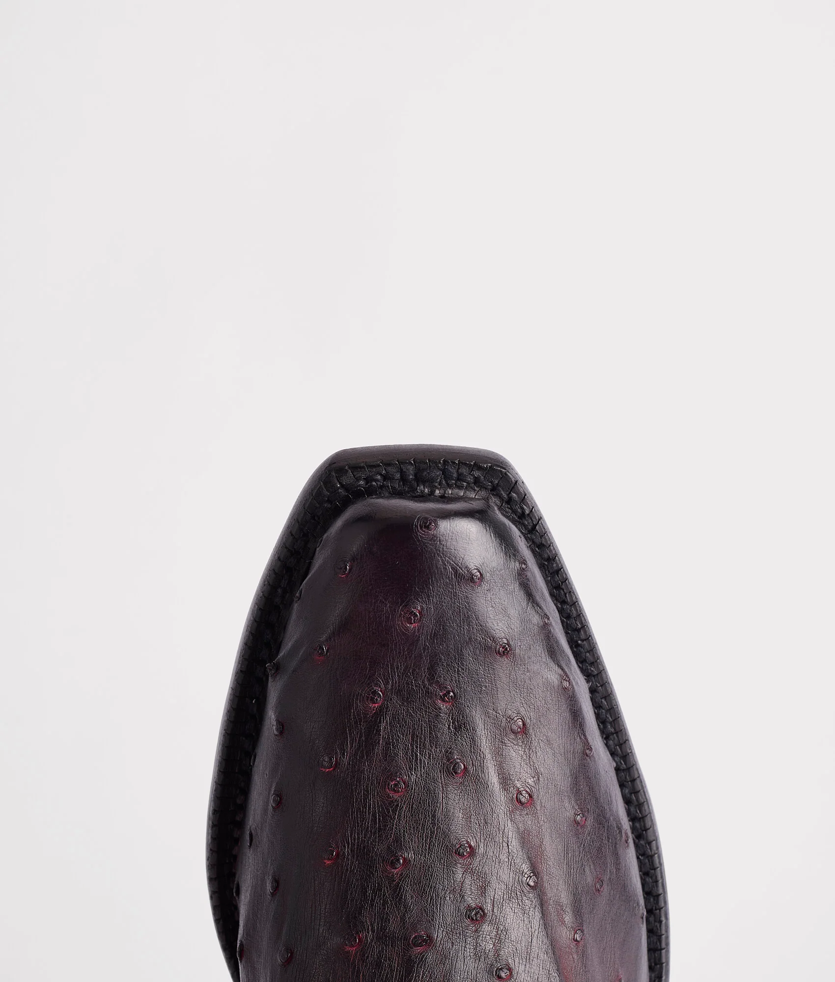 Elgin :: Black Cherry + Black