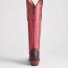 Priscilla Exotic :: Black Cherry