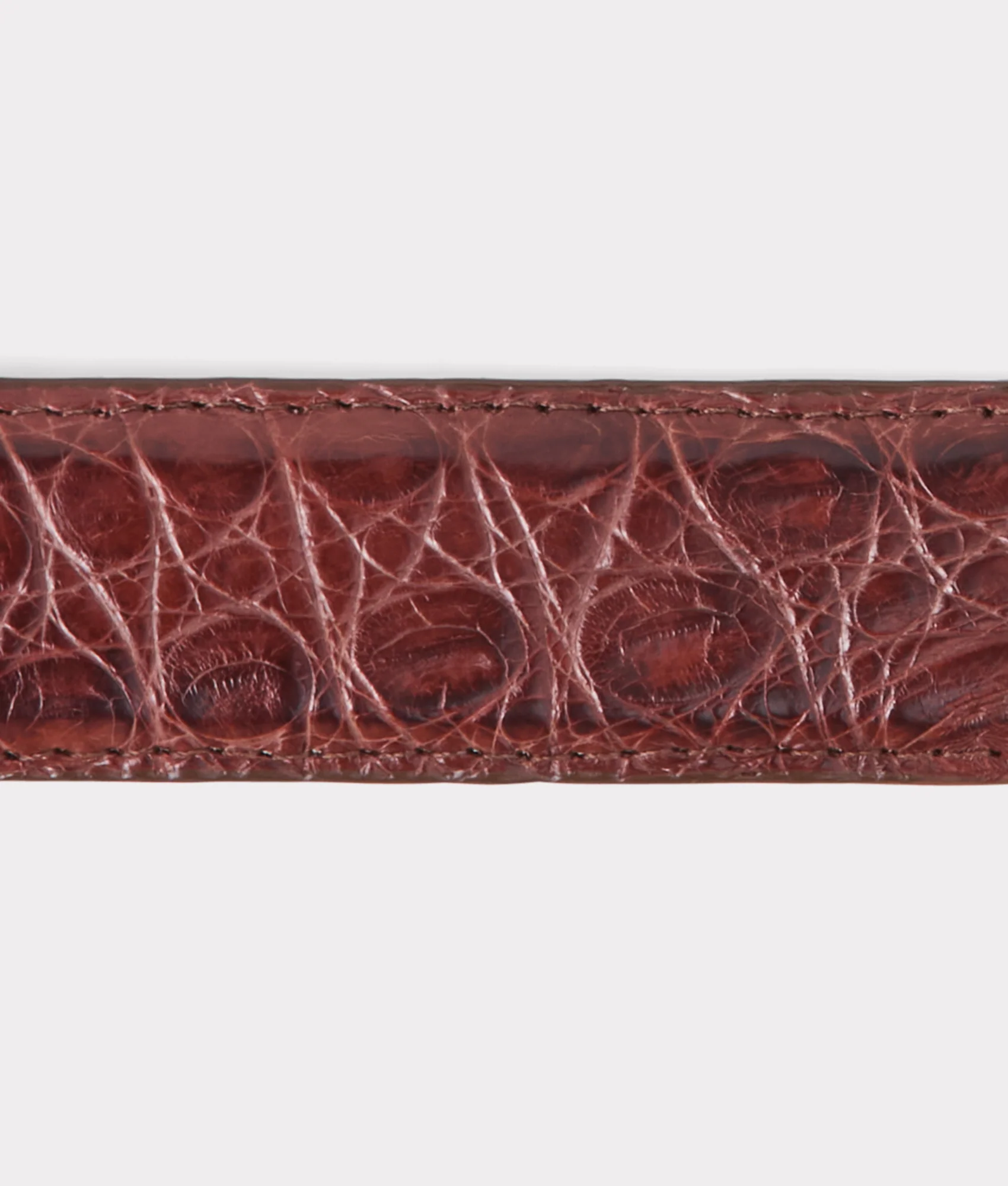 Ultra Belly Caiman Tapered :: Sienna