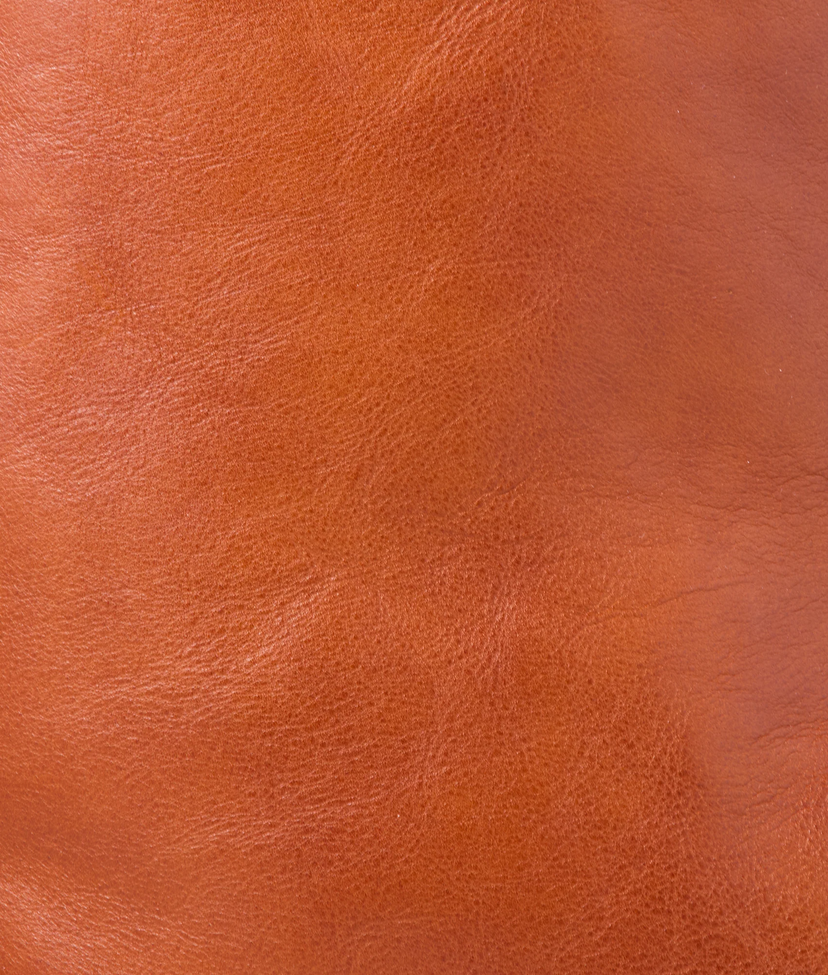 Cosimo Passport Cover :: Cognac