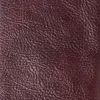Cosmio Passport Cover :: Burgundy
