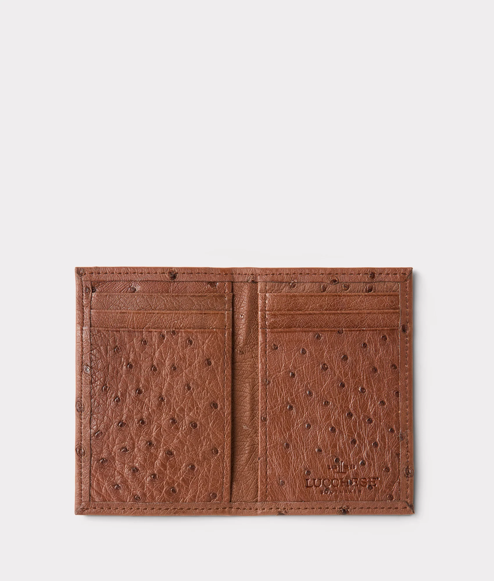 Bifold Wallet – Ostrich :: Sienna