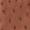 Bifold Wallet – Ostrich :: Sienna