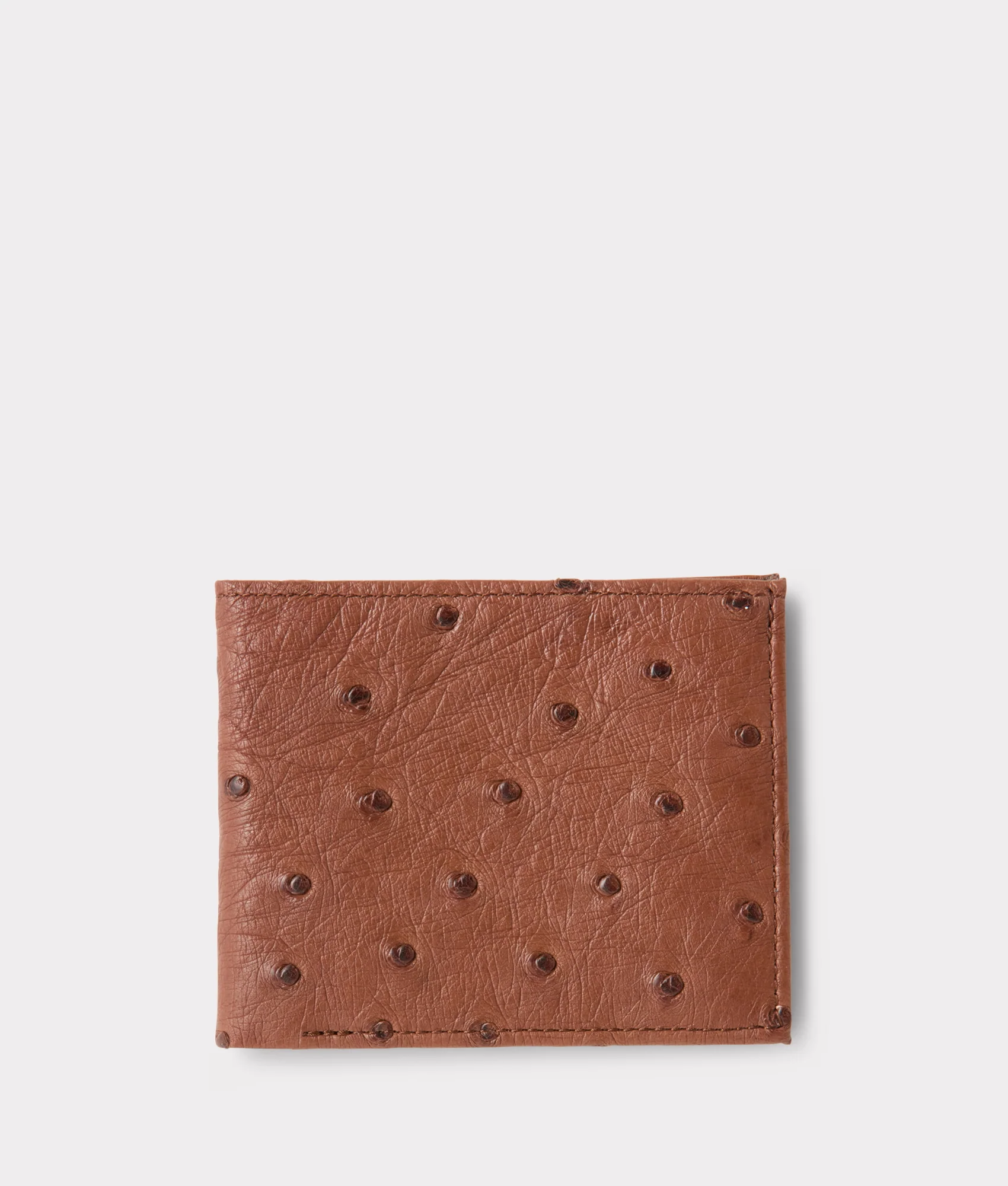 7538-hipster-wallet-ostrich-sienna-1.webp Hipster Wallet – Ostrich :: Sienna