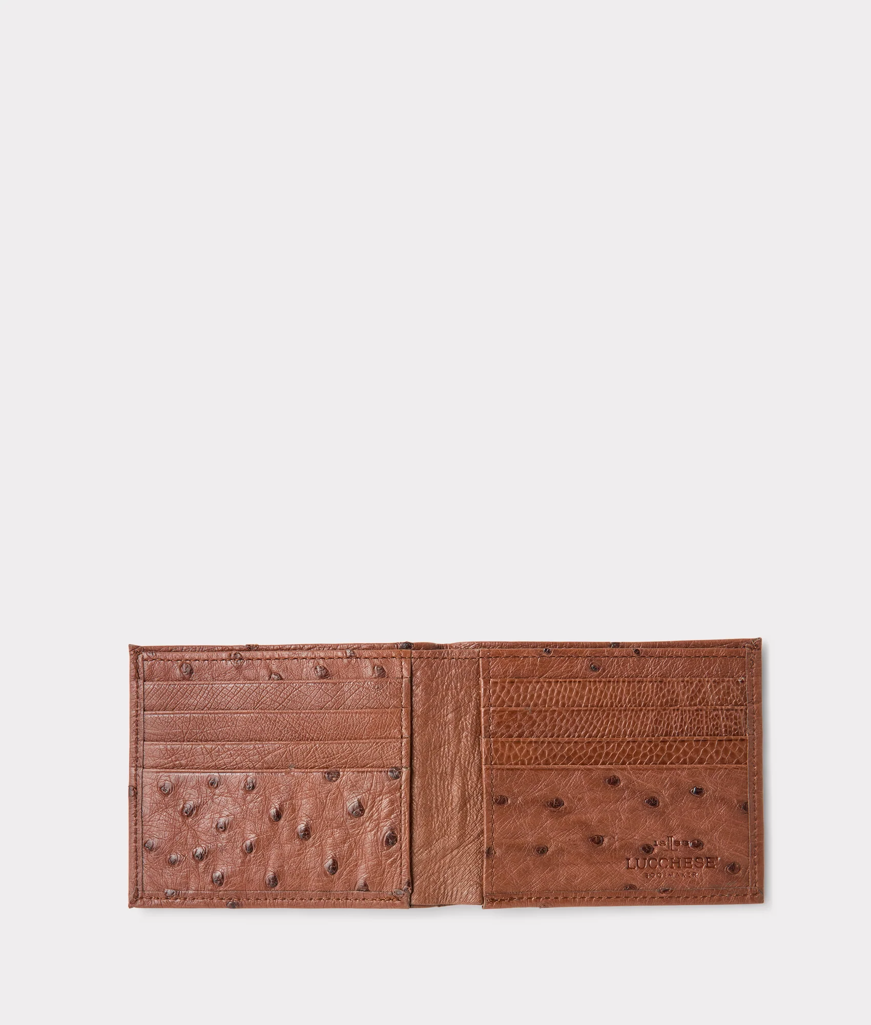 7538-hipster-wallet-ostrich-sienna-3.webp Hipster Wallet – Ostrich :: Sienna