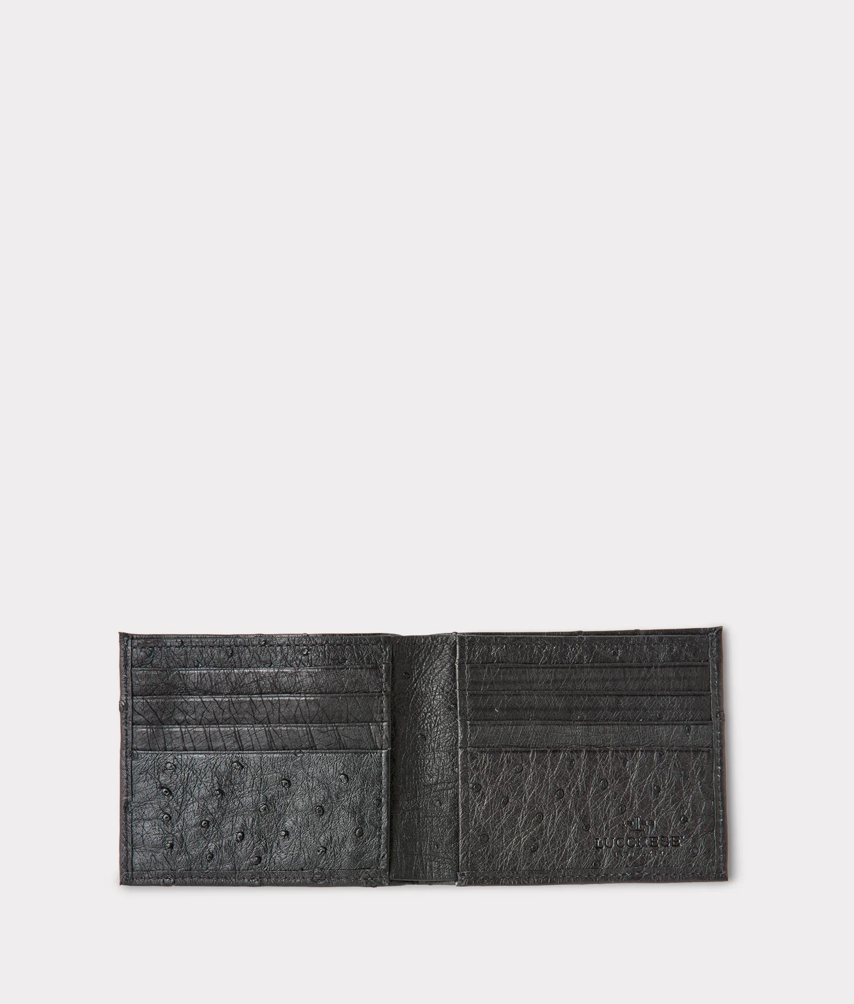 Hipster Wallet – Ostrich :: Black