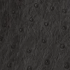 Hipster Wallet – Ostrich :: Black