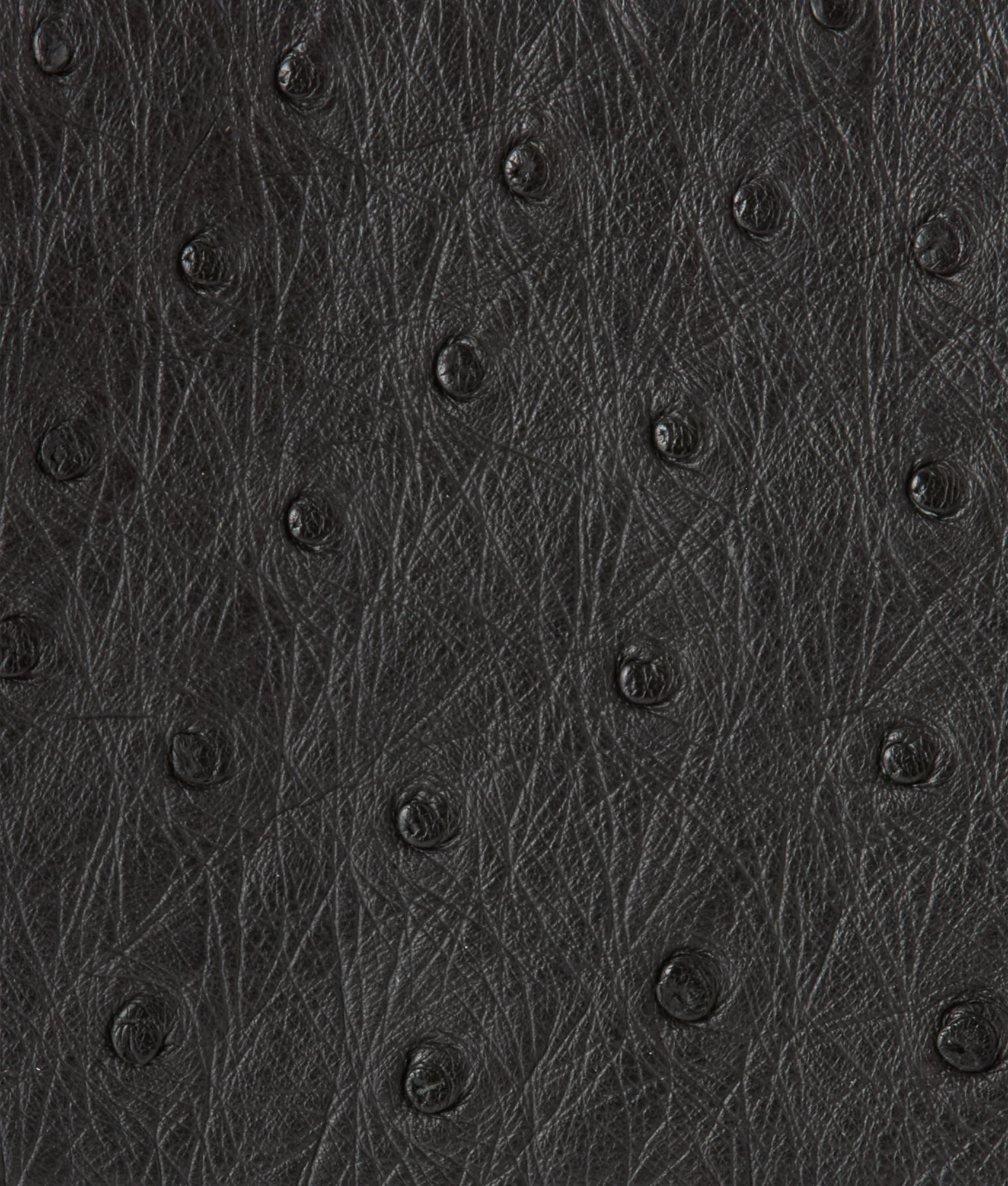 Hipster Wallet – Ostrich :: Black