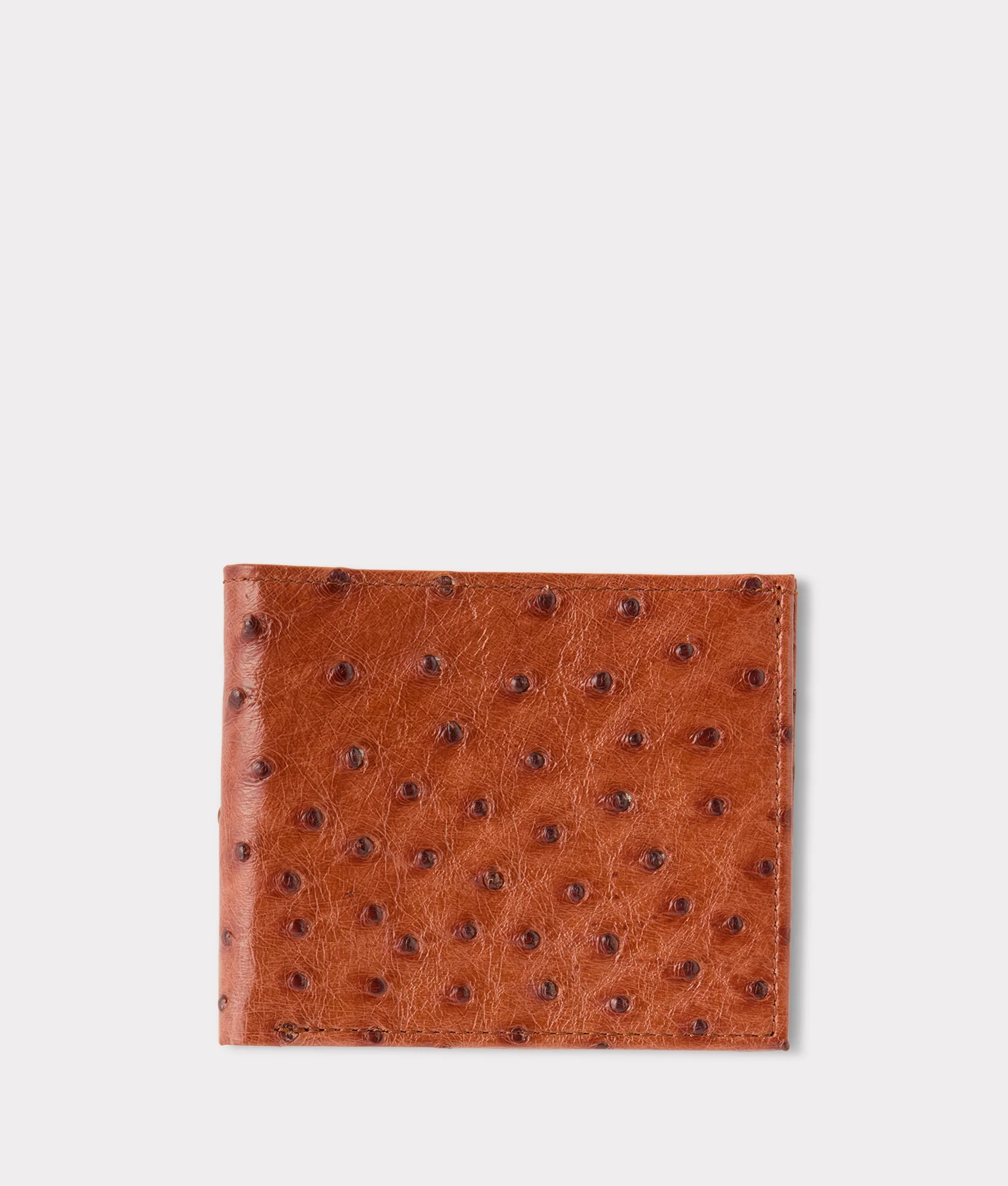 Hipster Wallet – Ostrich :: Cognac