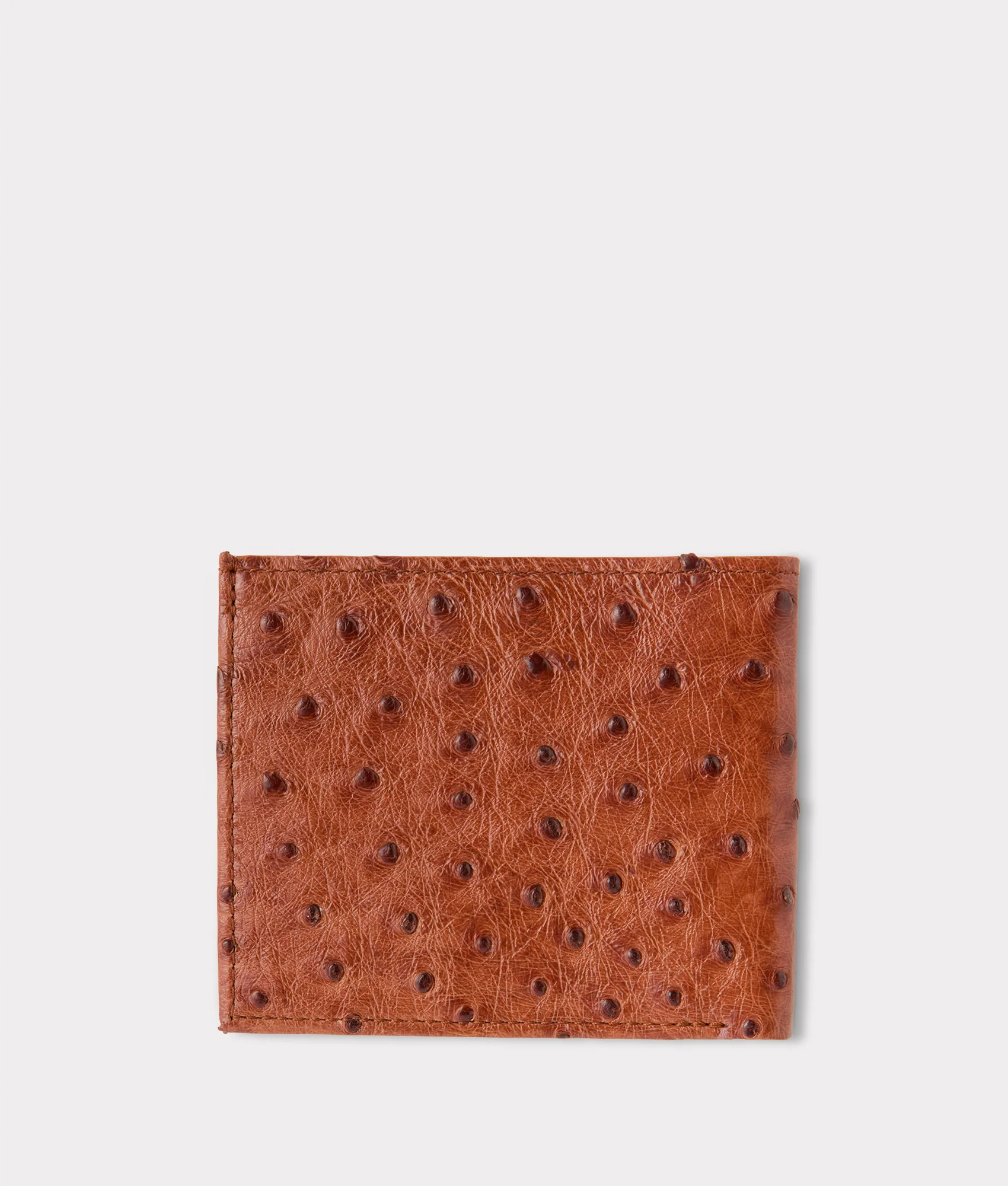 Hipster Wallet – Ostrich :: Cognac