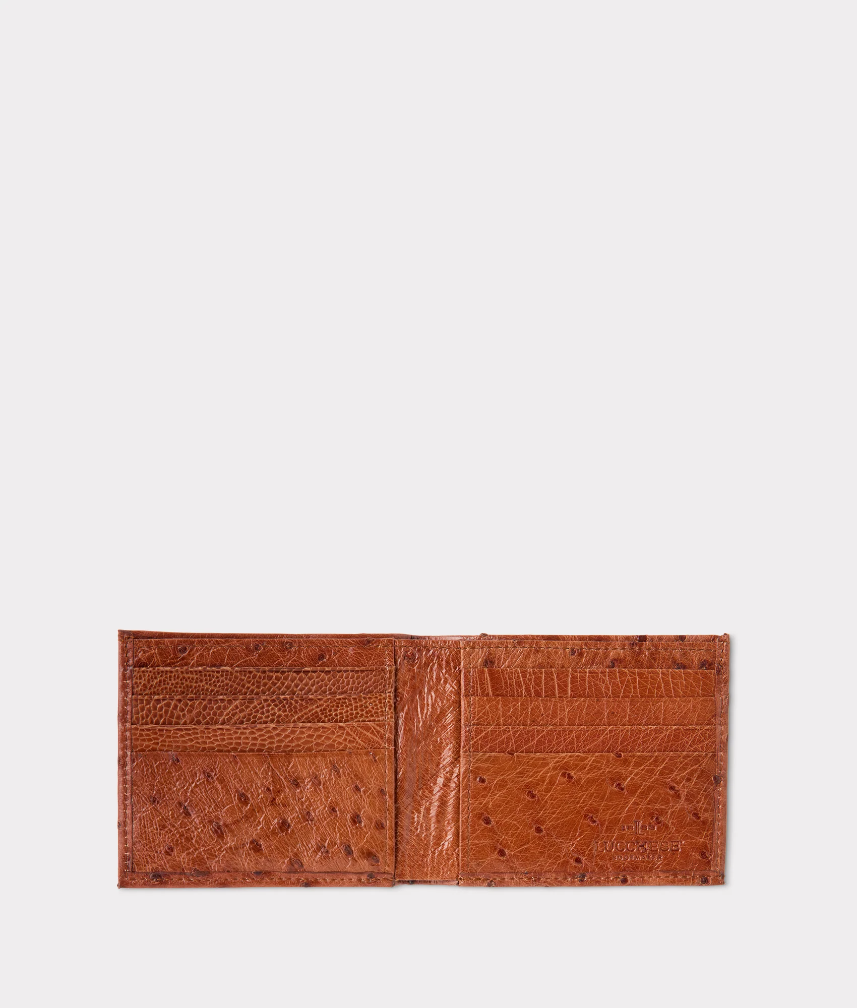 Hipster Wallet – Ostrich :: Cognac