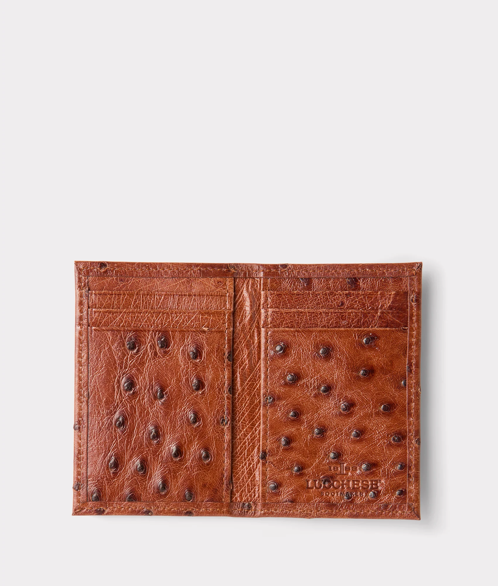 Bifold Wallet – Ostrich :: Cognac
