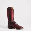 Josephine Horseman :: Antique Black Cherry
