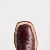 Josephine Horseman :: Antique Black Cherry