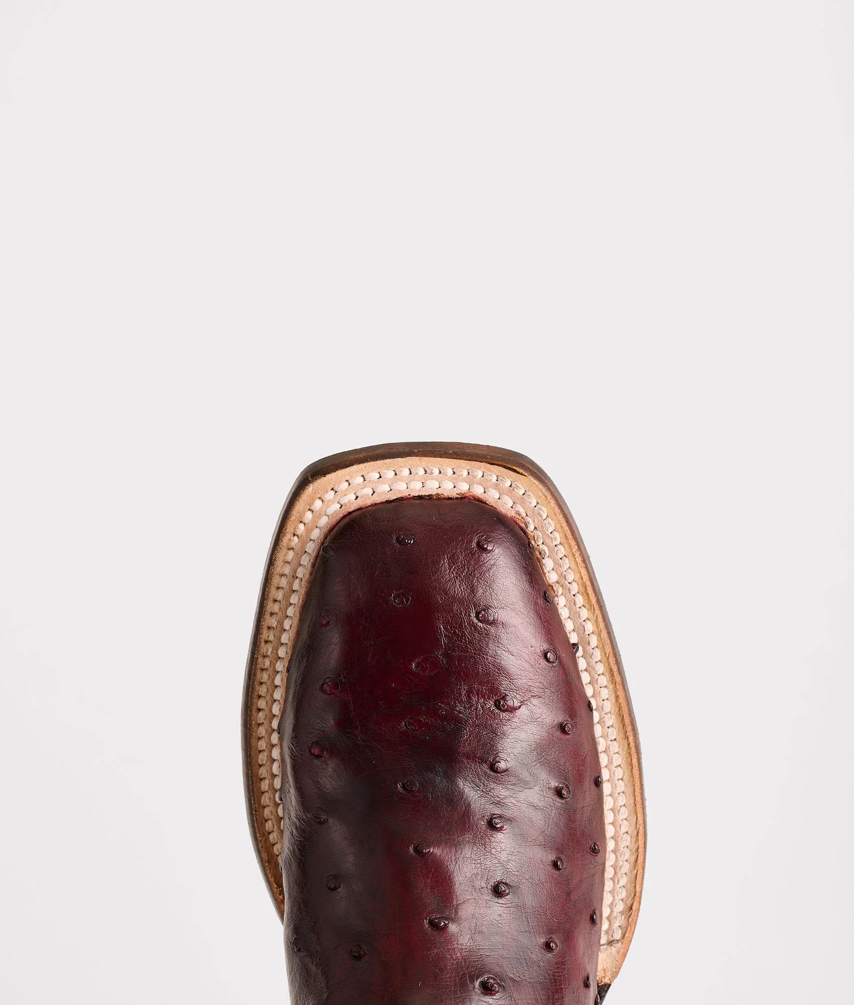 Josephine Horseman :: Antique Black Cherry