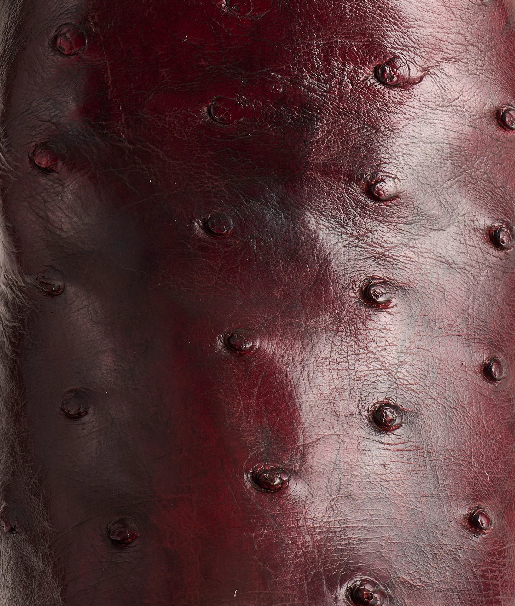 Josephine Horseman :: Antique Black Cherry