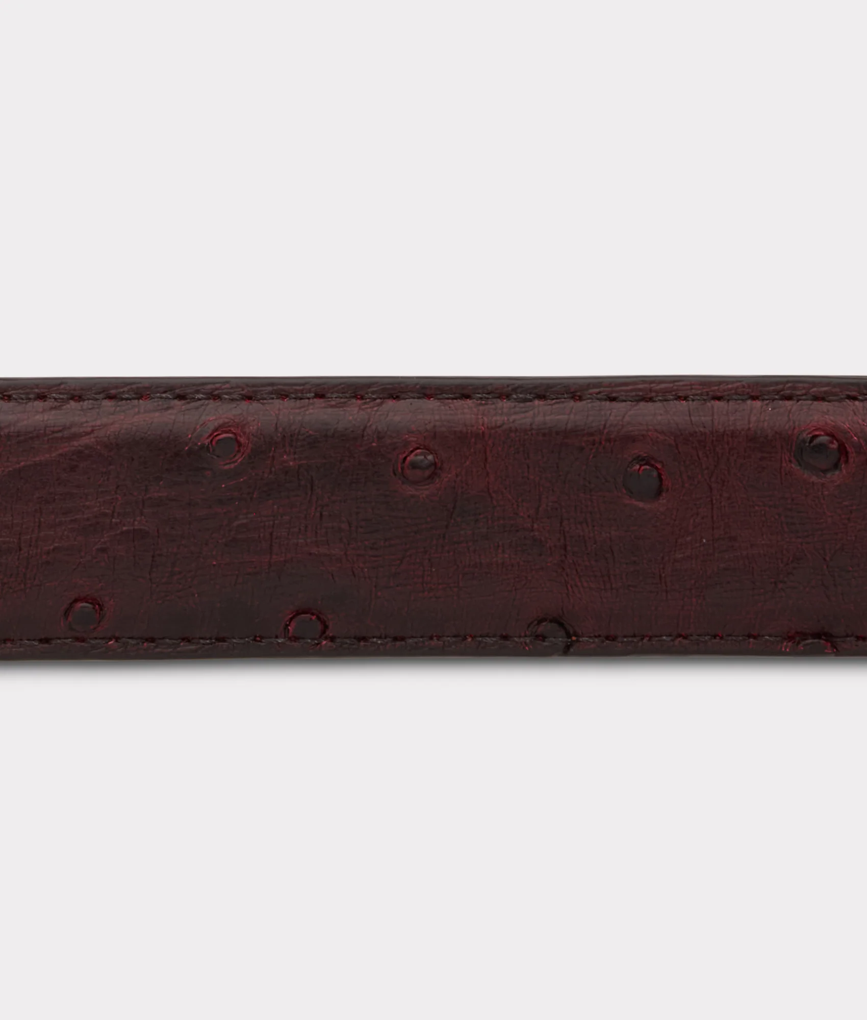 Full Quill Ostrich Tapered :: Black Cherry