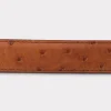 Full Quill Ostrich Tapered :: Barnwood