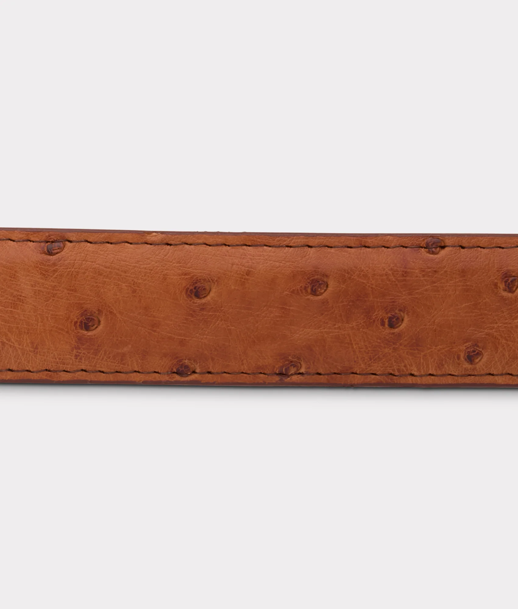 Full Quill Ostrich Tapered :: Barnwood