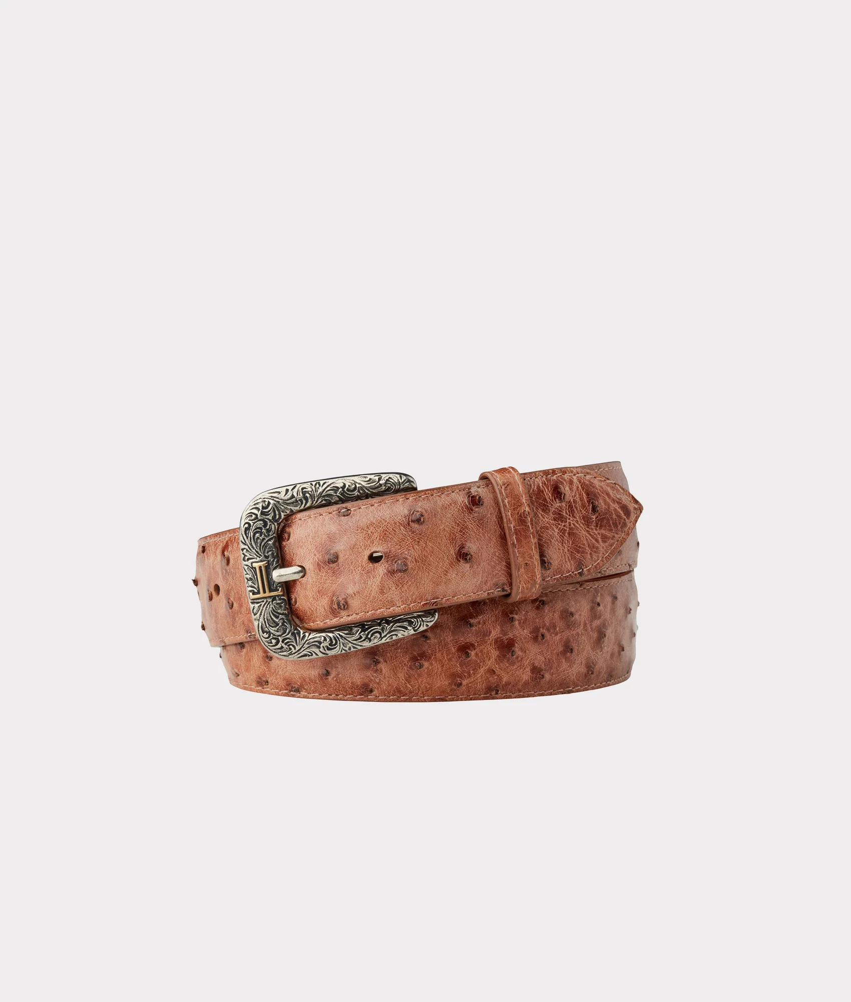 7755-full-quill-ostrich-barnwood-1.webp Full Quill Ostrich :: Barnwood