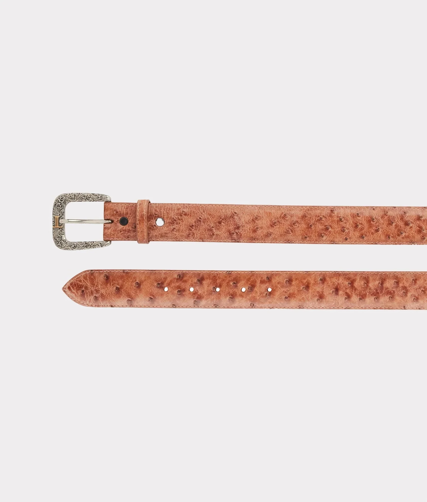 Full Quill Ostrich :: Barnwood
