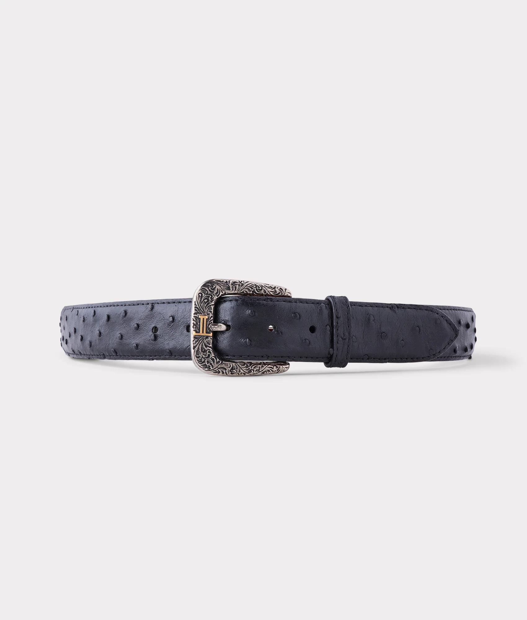 7775-full-quill-ostrich-black-1.webp Full Quill Ostrich :: Black