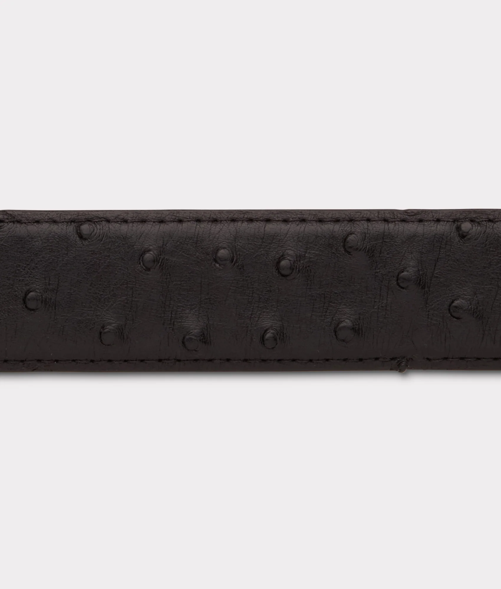 Full Quill Ostrich :: Black
