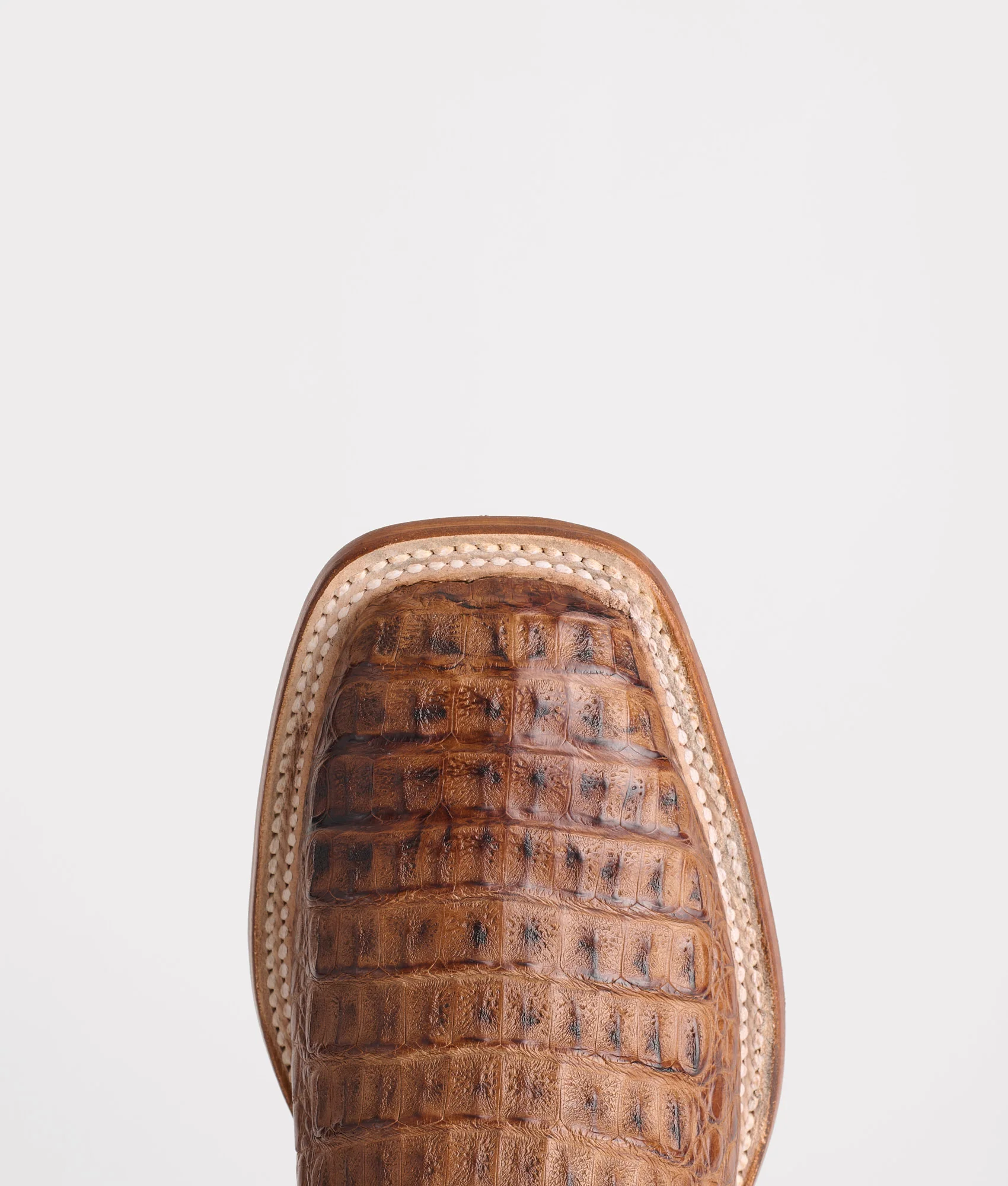 Fisher :: Tan + Chocolate