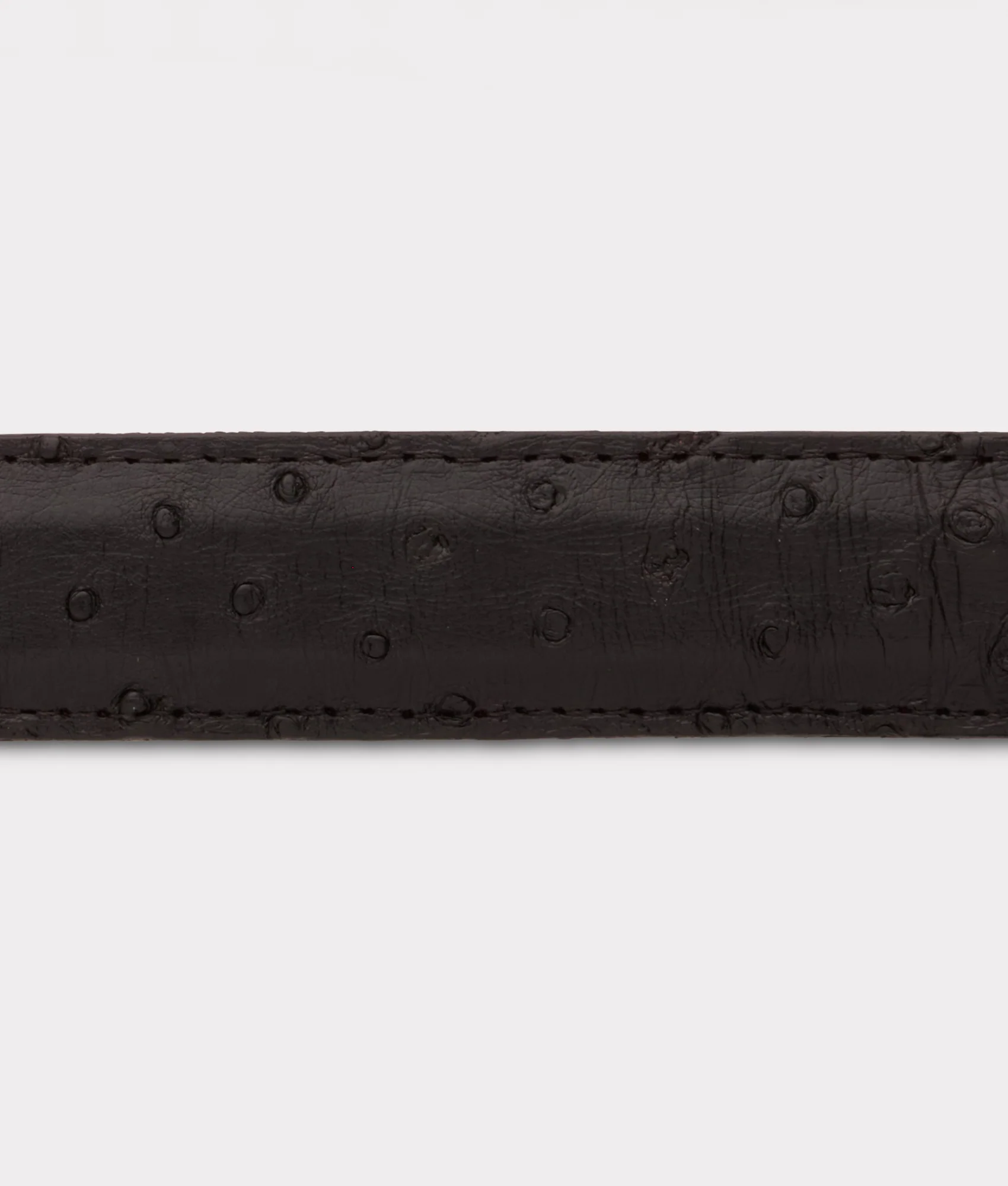 Full Quill Ostrich Tapered :: Black