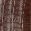 Bifold Wallet – Crocodile :: Sienna