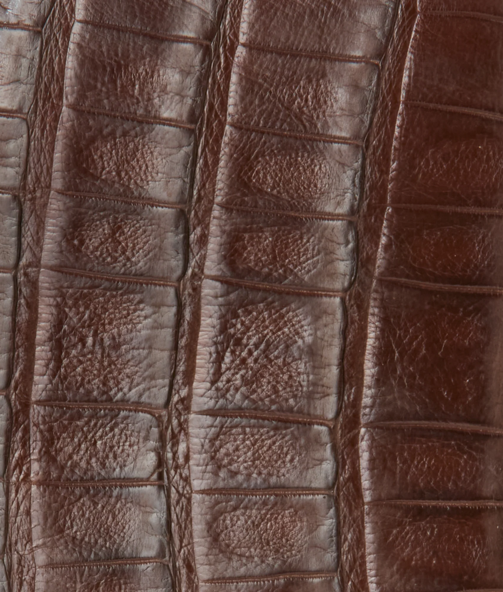 Bifold Wallet – Crocodile :: Sienna
