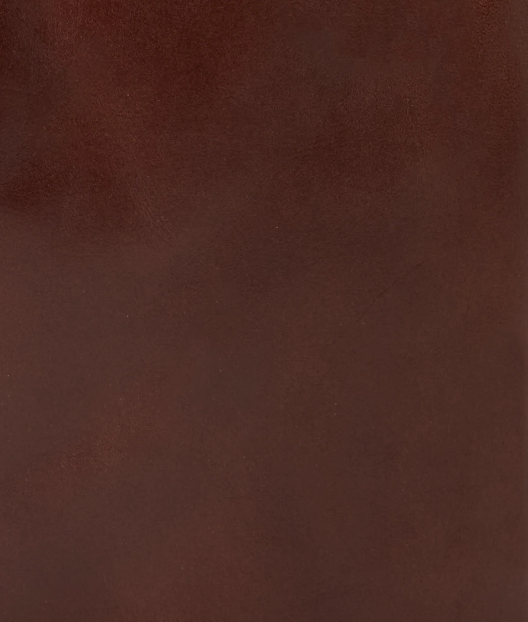 Everyday Backpack :: Brown