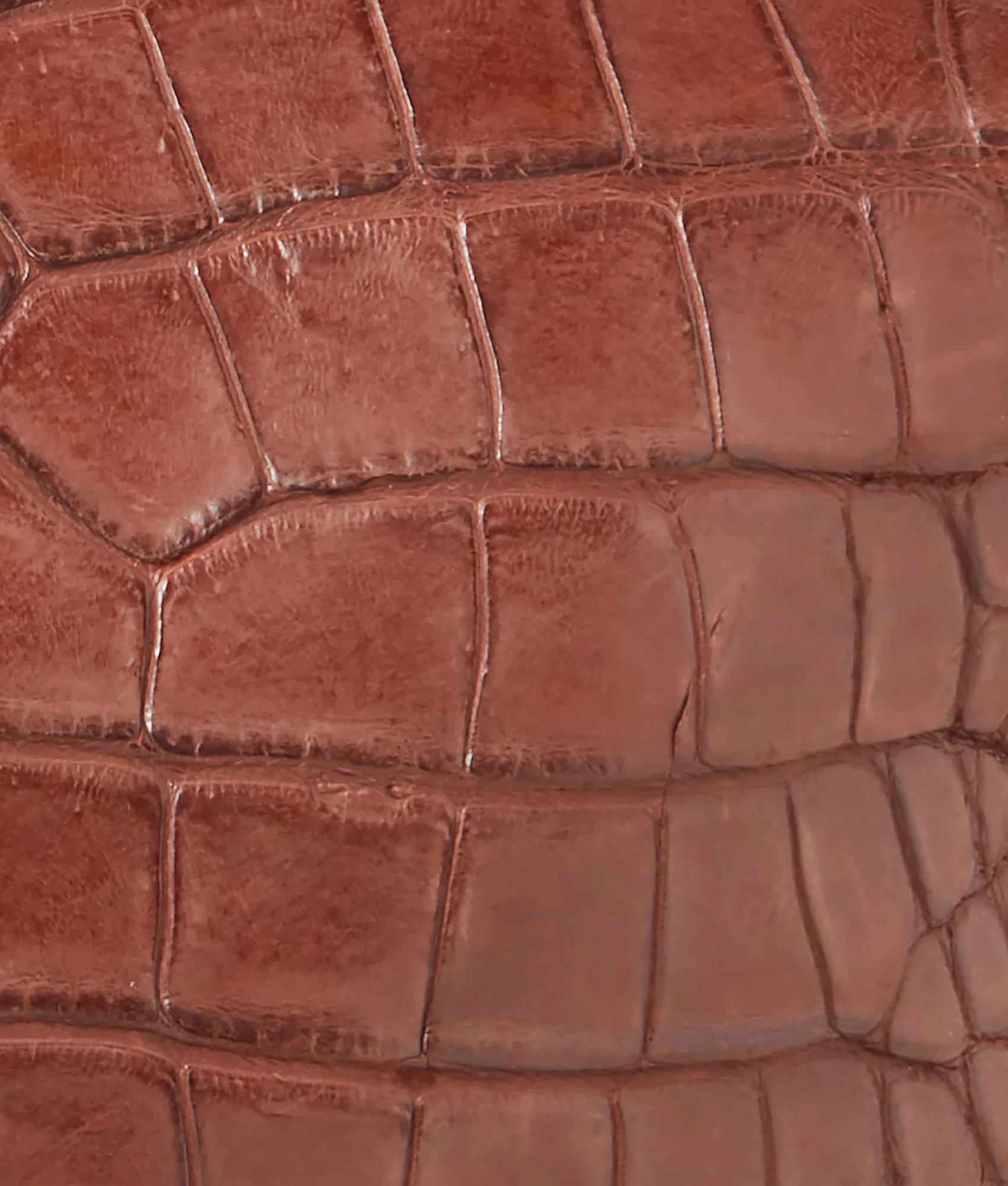 7937-giant-gator-duffle-large-chocolate-9.webp Giant Gator Duffle – Large :: Chocolate