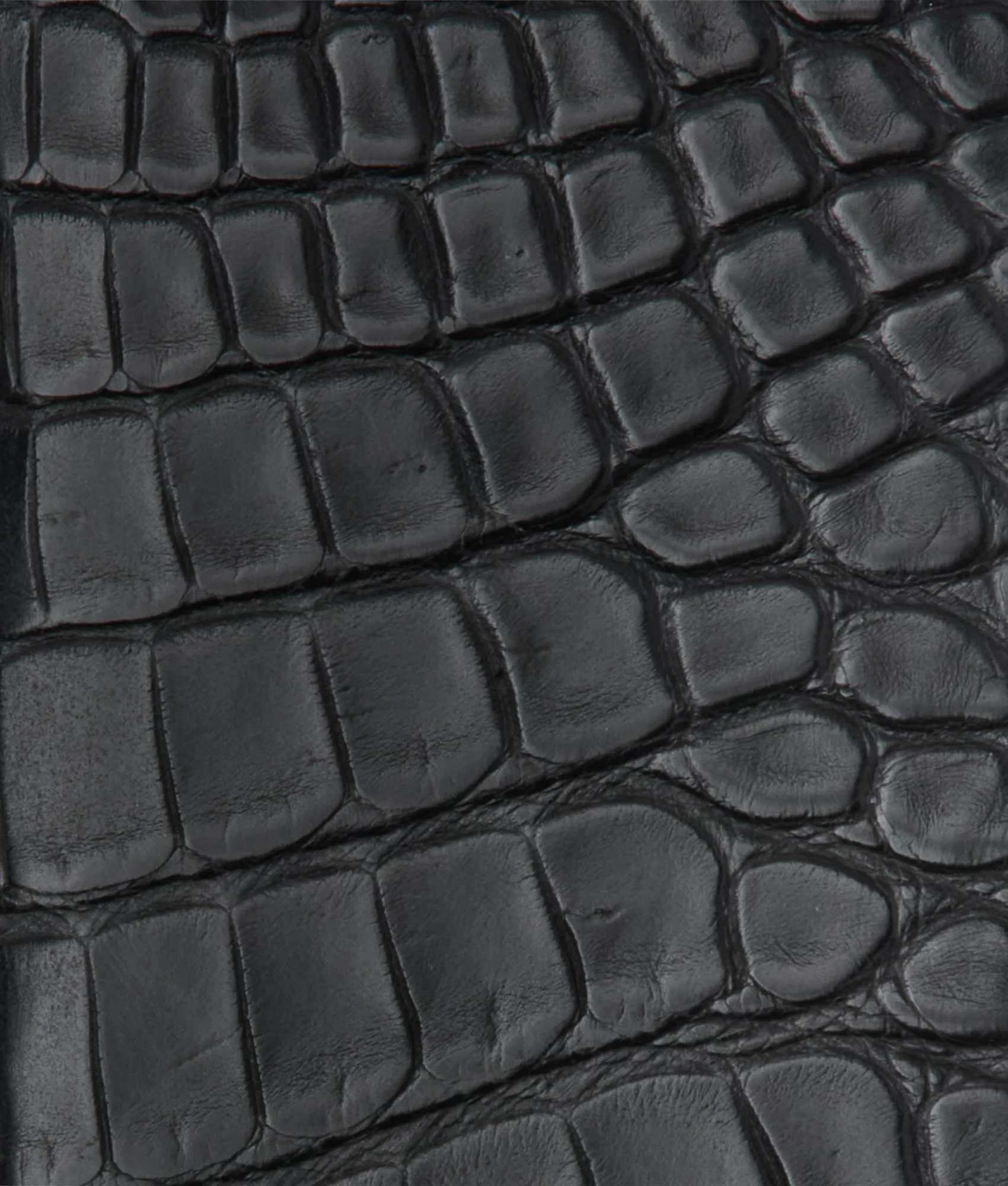 Bifold Wallet - American Alligator :: Black