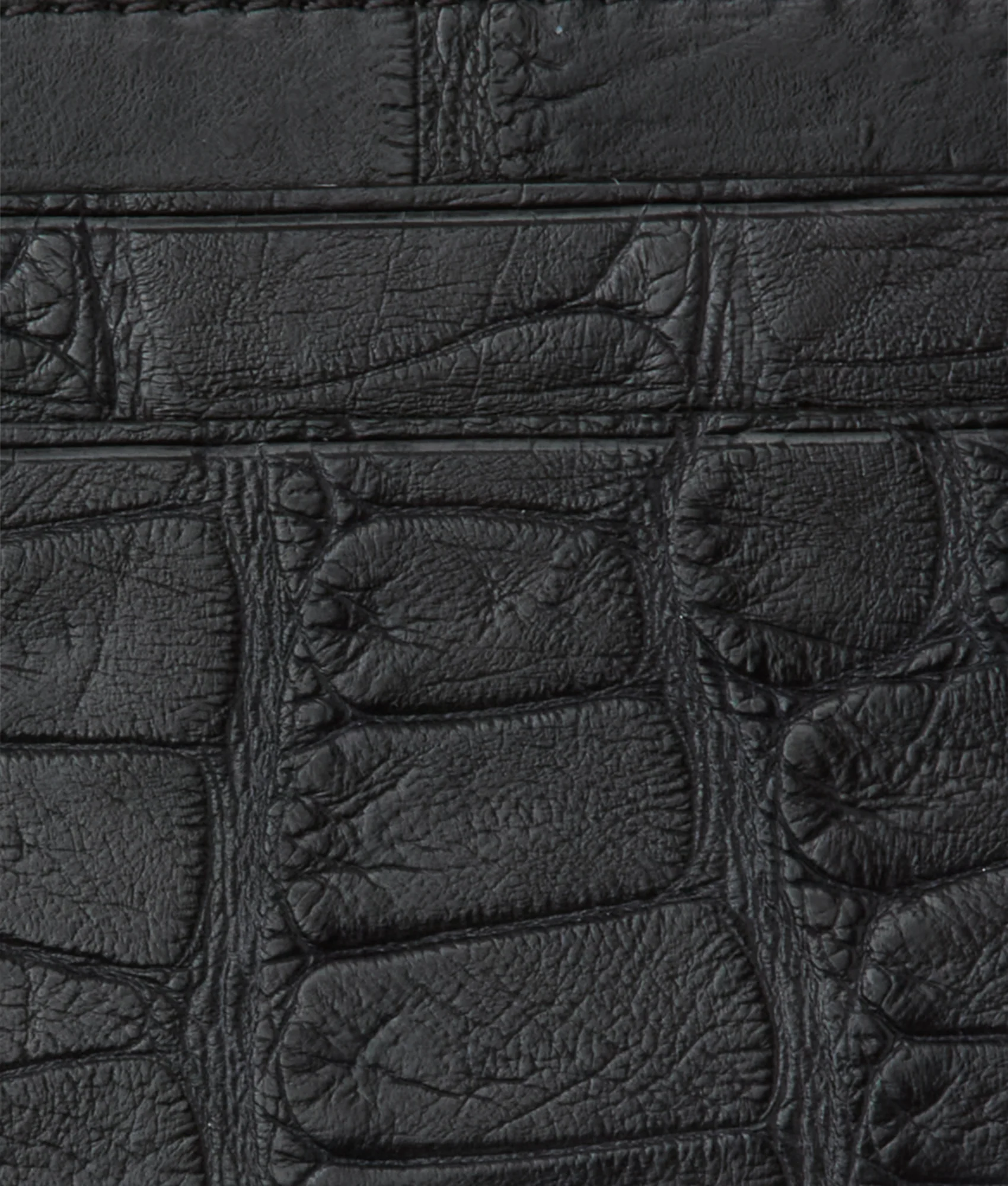 Card Case - American Alligator :: Black