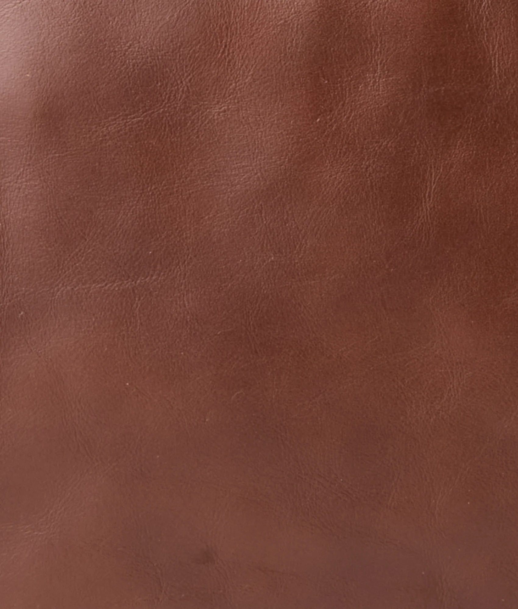 Everyday Briefcase :: Brown