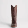 Franklin :: Barrel Brown + Chocolate