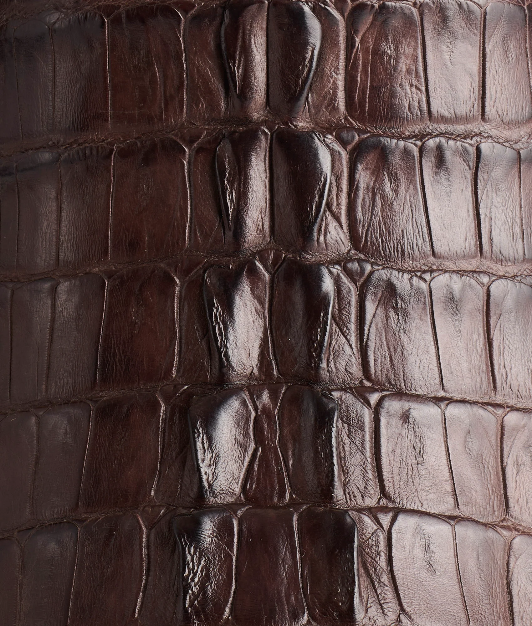 Franklin :: Barrel Brown + Chocolate