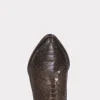 Alma Exotic :: Chocolate