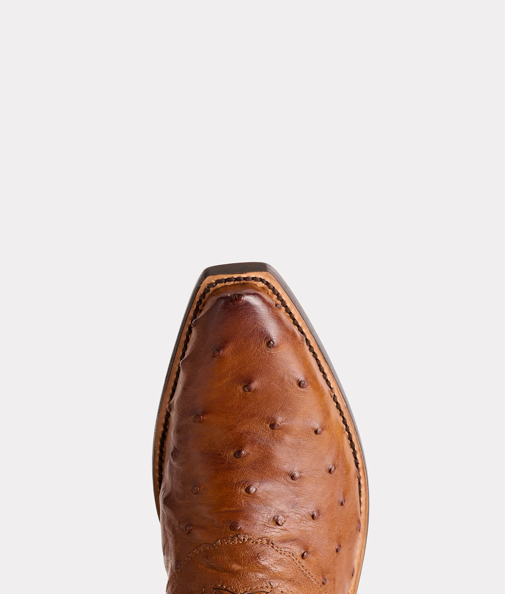 Augusta :: Tan + Camel