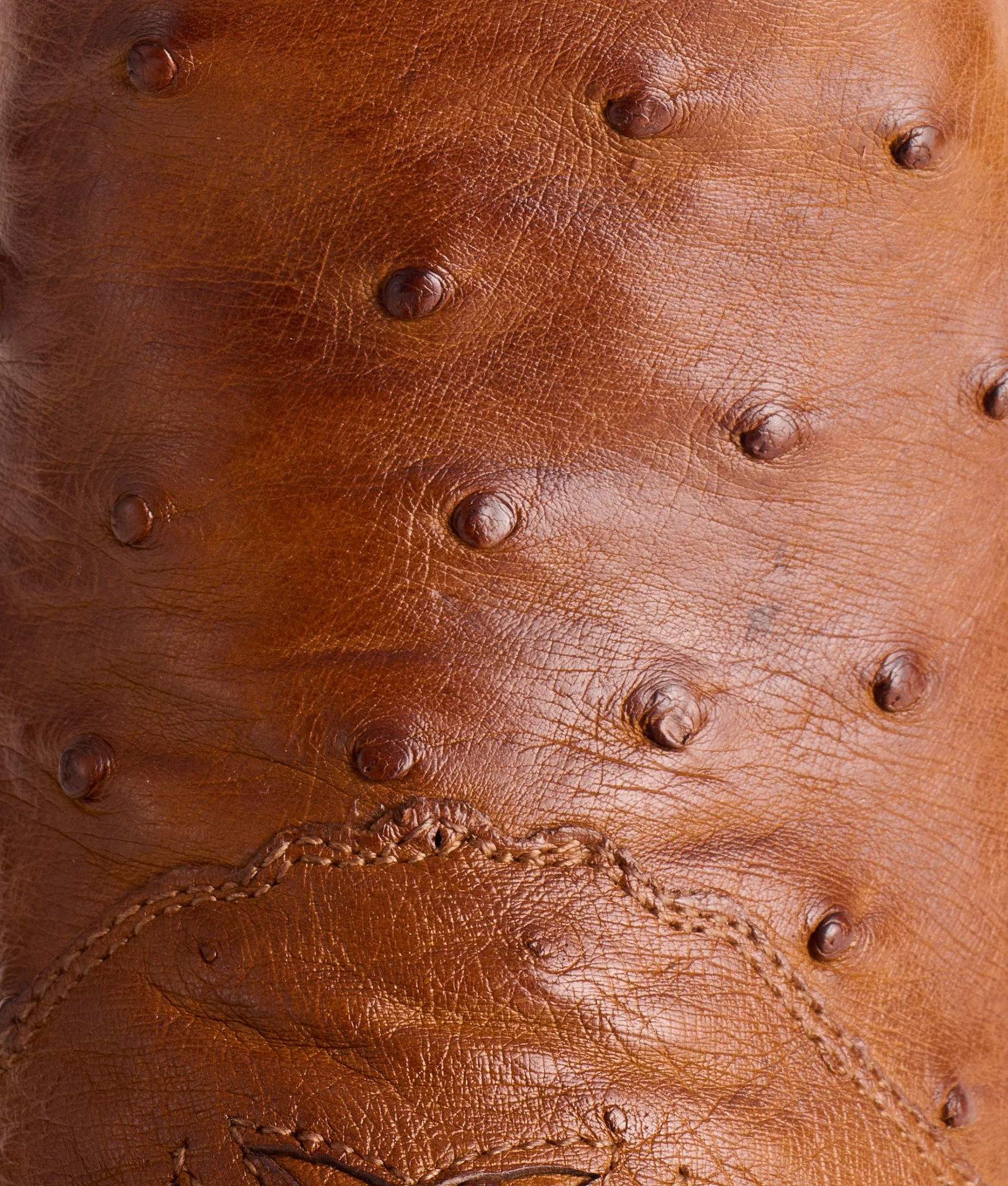 Augusta :: Tan + Camel