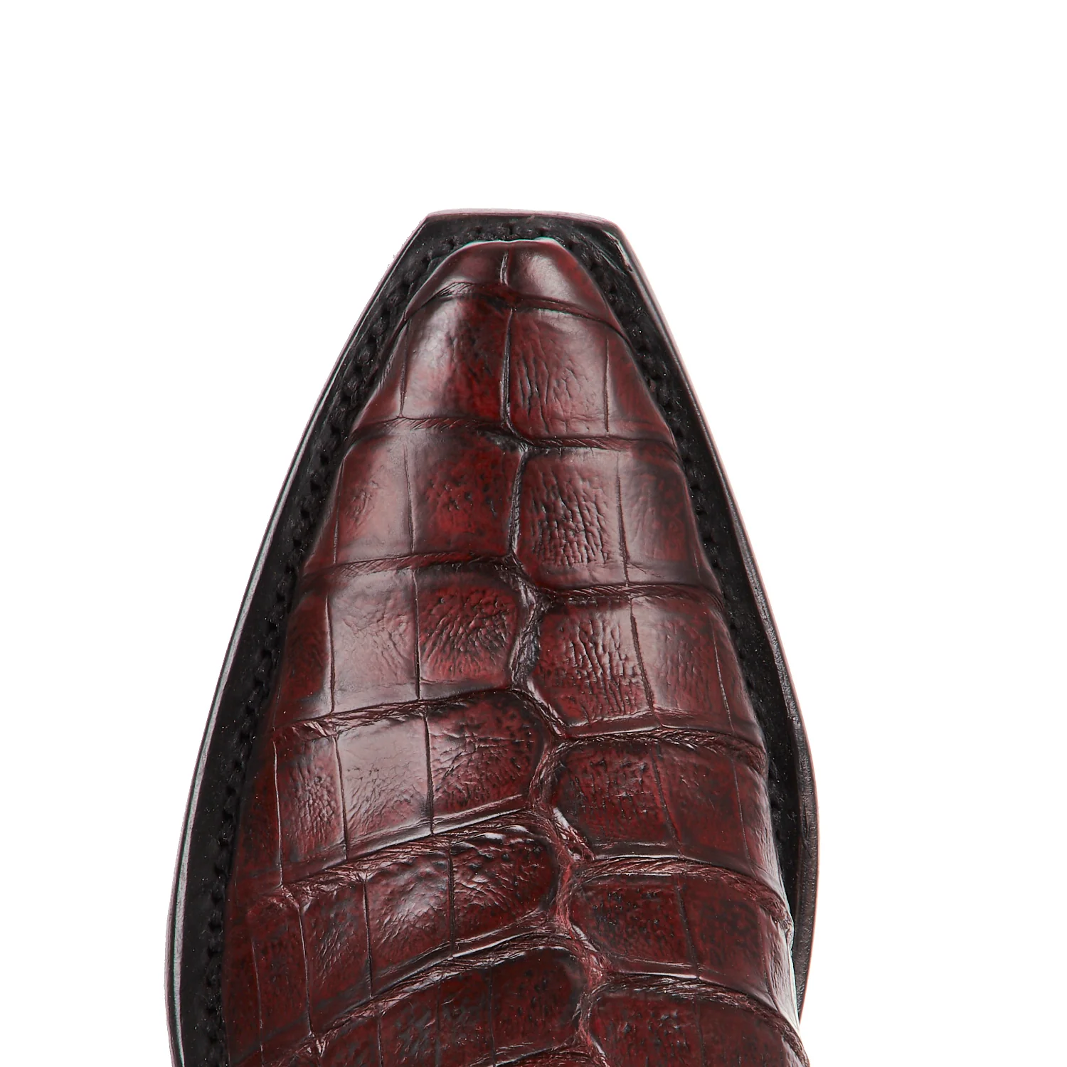 Dale Exotic :: Black Cherry Caiman