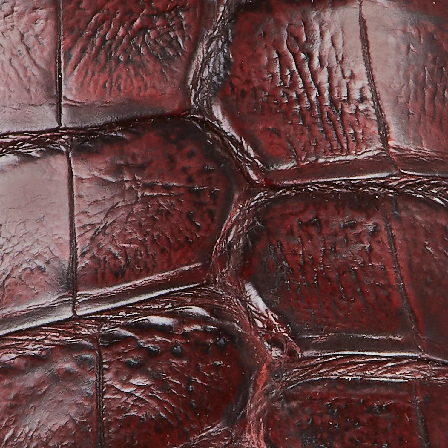 Dale Exotic :: Black Cherry Caiman