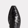 Dolly :: Black