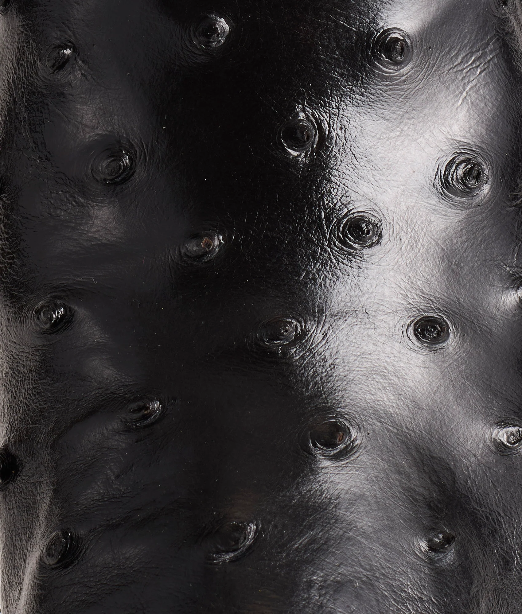 Dolly :: Black