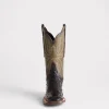 Josephine Horseman :: Antique Black