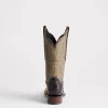 Josephine Horseman :: Antique Black